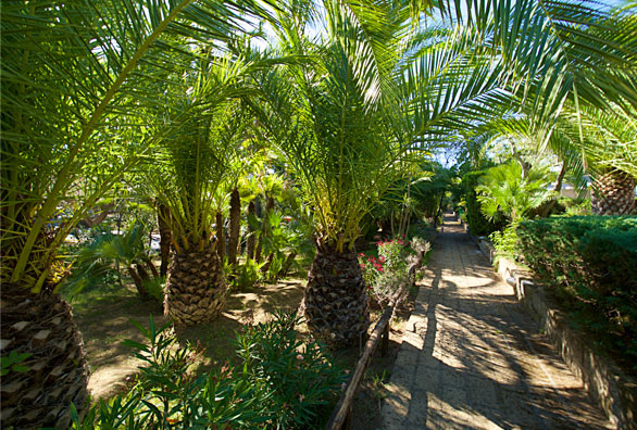 residence-immerso-nel-verde-castiglion-della-pescaia