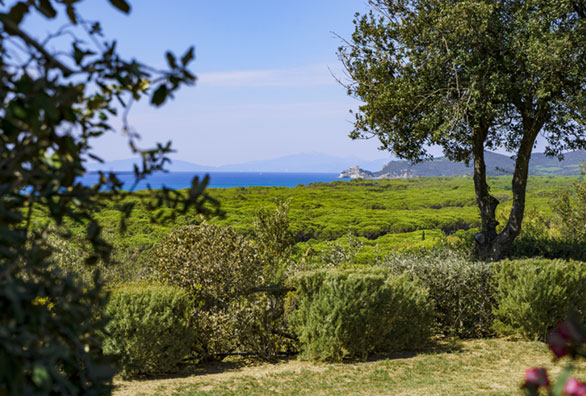 mare-maremma-toscana