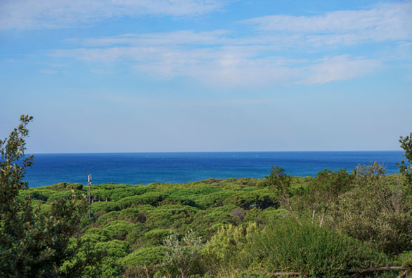 panorama-mare-toscana