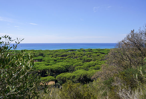 solemaremma-esterni