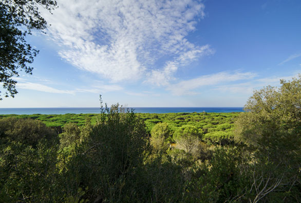 vista-panoramica-solemaremma